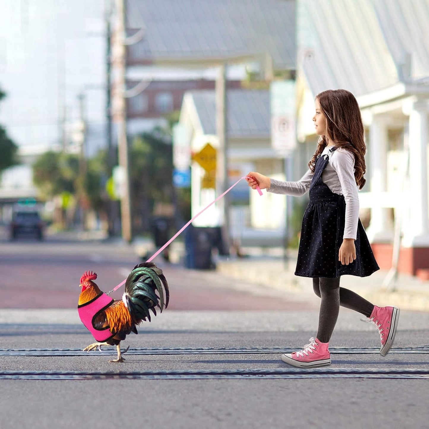 Adjustable Chicken Harness with Leash Elastic Comfortable Breathable Pet Harness for Duck Goose Hen Traning Walking,Medium