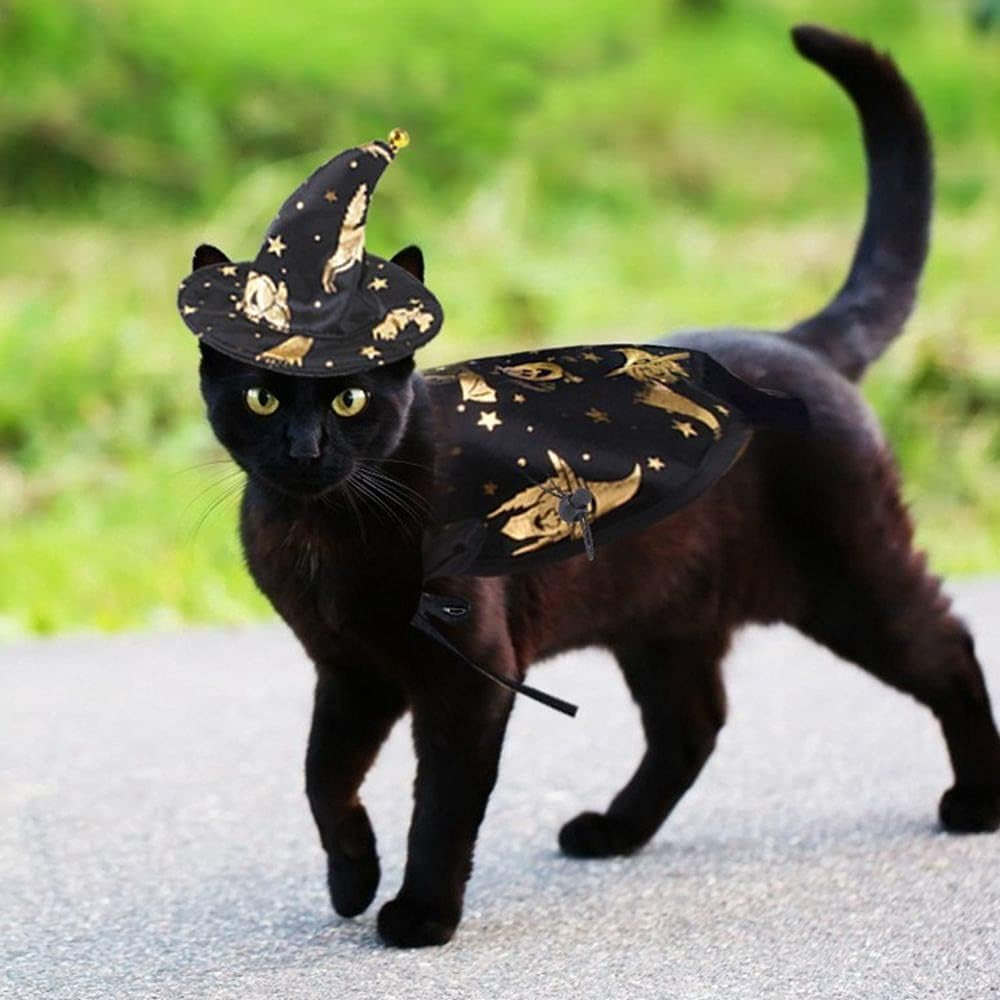 Pet Accessories Party Dressing Cloak Halloween Apparels Puppy Collar Dog Halloween Set Pet Halloween Costume(M)