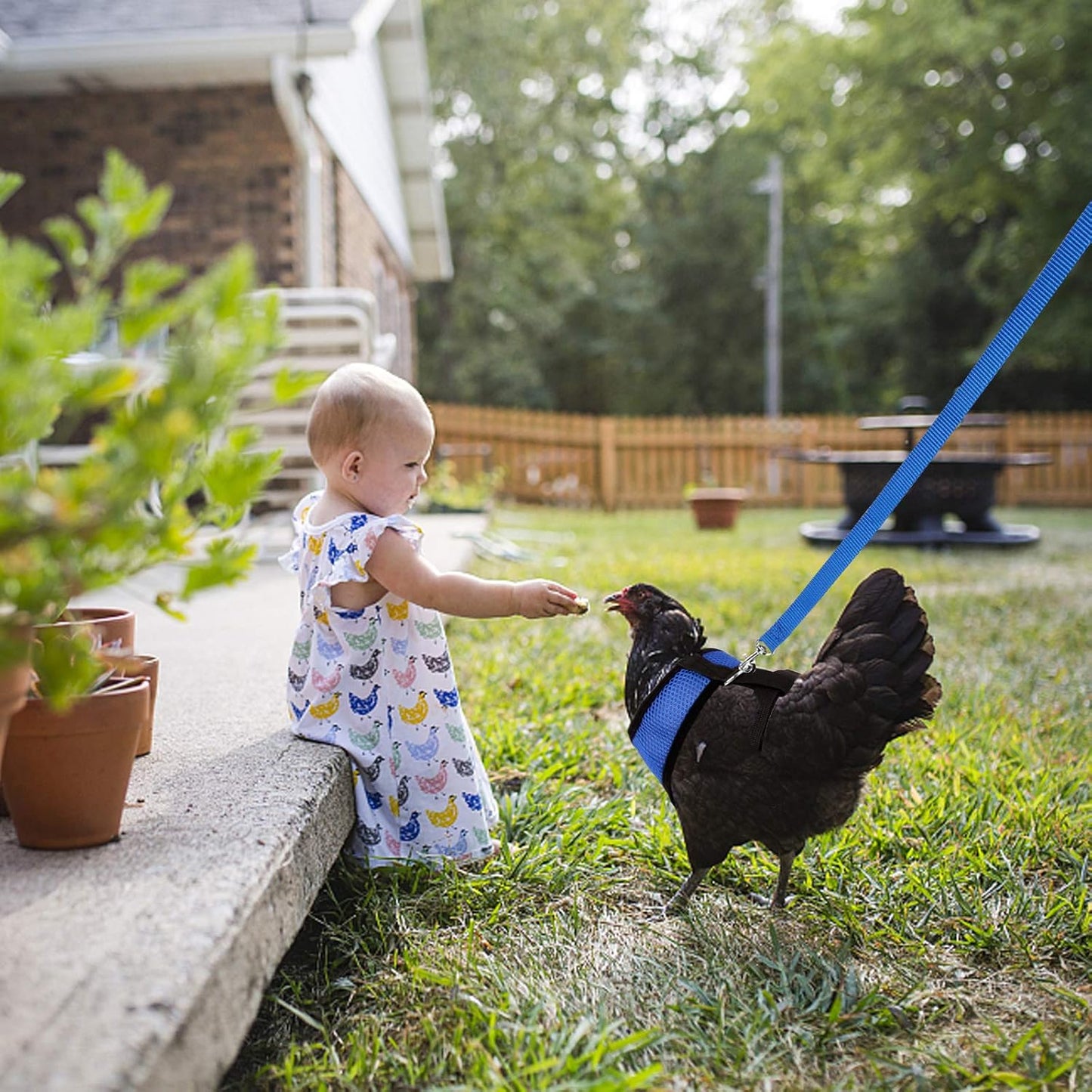 Adjustable Chicken Harness with Leash Elastic Comfortable Breathable Pet Harness for Duck Goose Hen Traning Walking,Medium