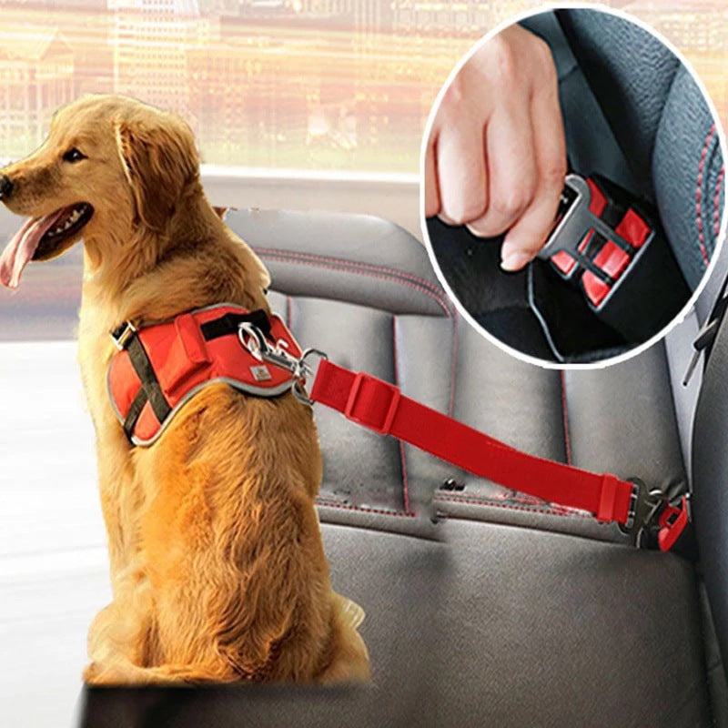 PawsSafe Adjustable Pet Seat Belt 