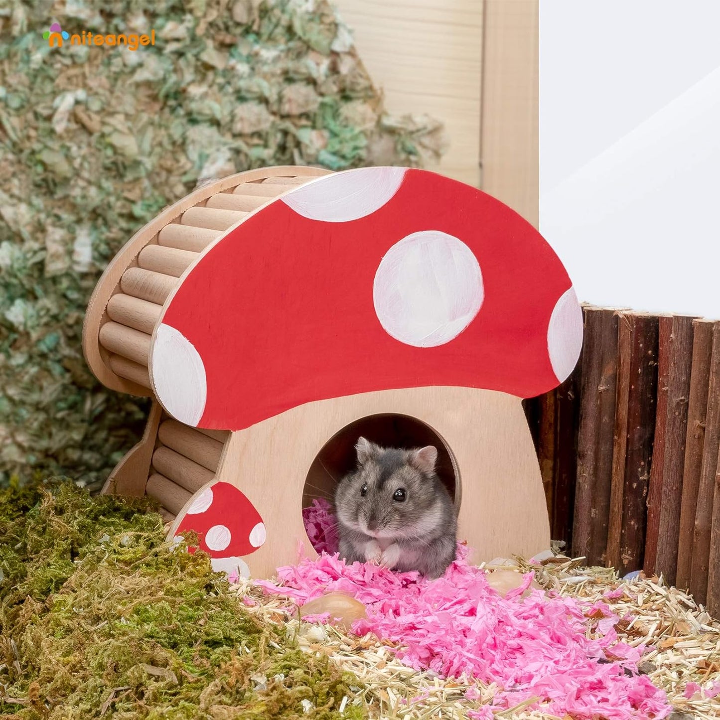 Hamster House W/Climbing Ladder: for Dwarf Hamsters Gerbils Mice or Similar-Sized Pets (Mushroom-Shaped)