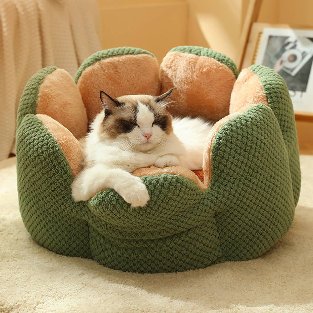 PricklyPaws™ Cactus Pet Haven