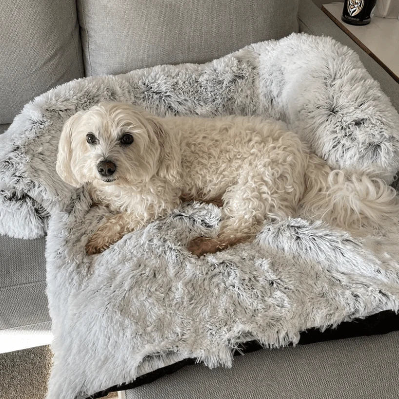 PawLuxe™ Relaxing Dog Bed & Sofa 