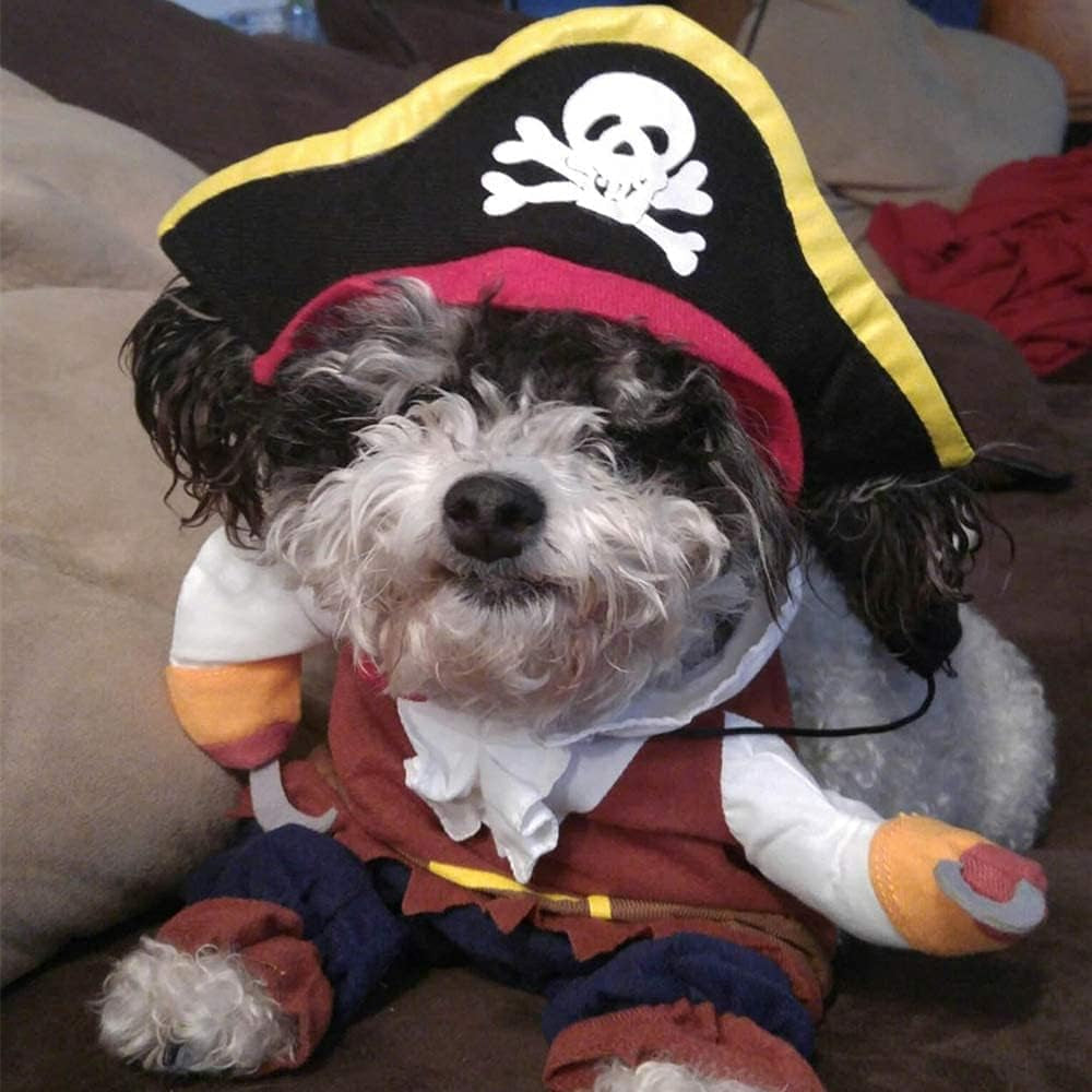 Pawrate™ Caribbean Cat Costume