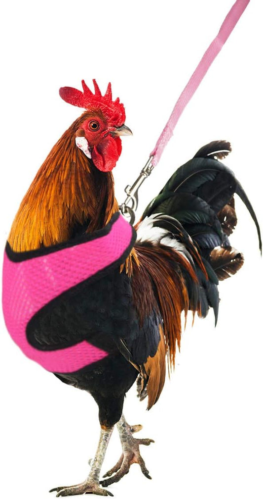 Adjustable Chicken Harness with Leash Elastic Comfortable Breathable Pet Harness for Duck Goose Hen Traning Walking,Medium