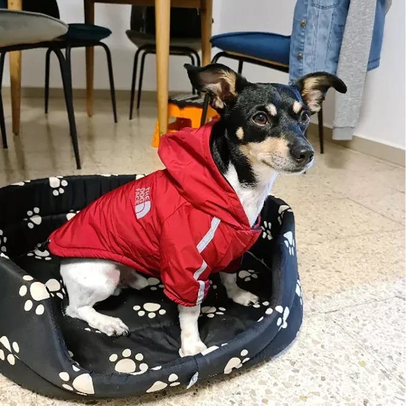 PuddlePup™ Waterproof Winter Coat 