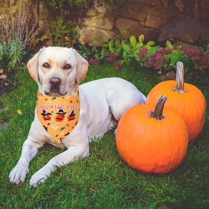 BooBandana™ Reversible Dog Scarves 2 Pack