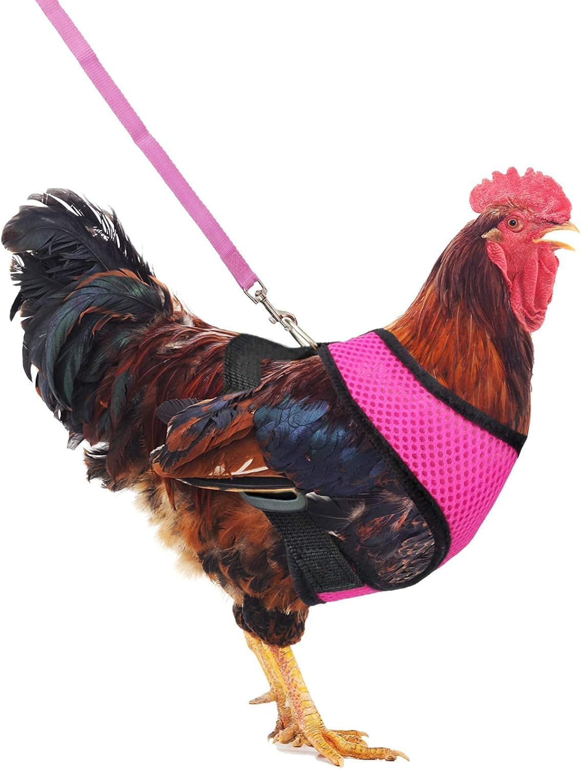 Adjustable Chicken Harness with Leash Elastic Comfortable Breathable Pet Harness for Duck Goose Hen Traning Walking,Medium