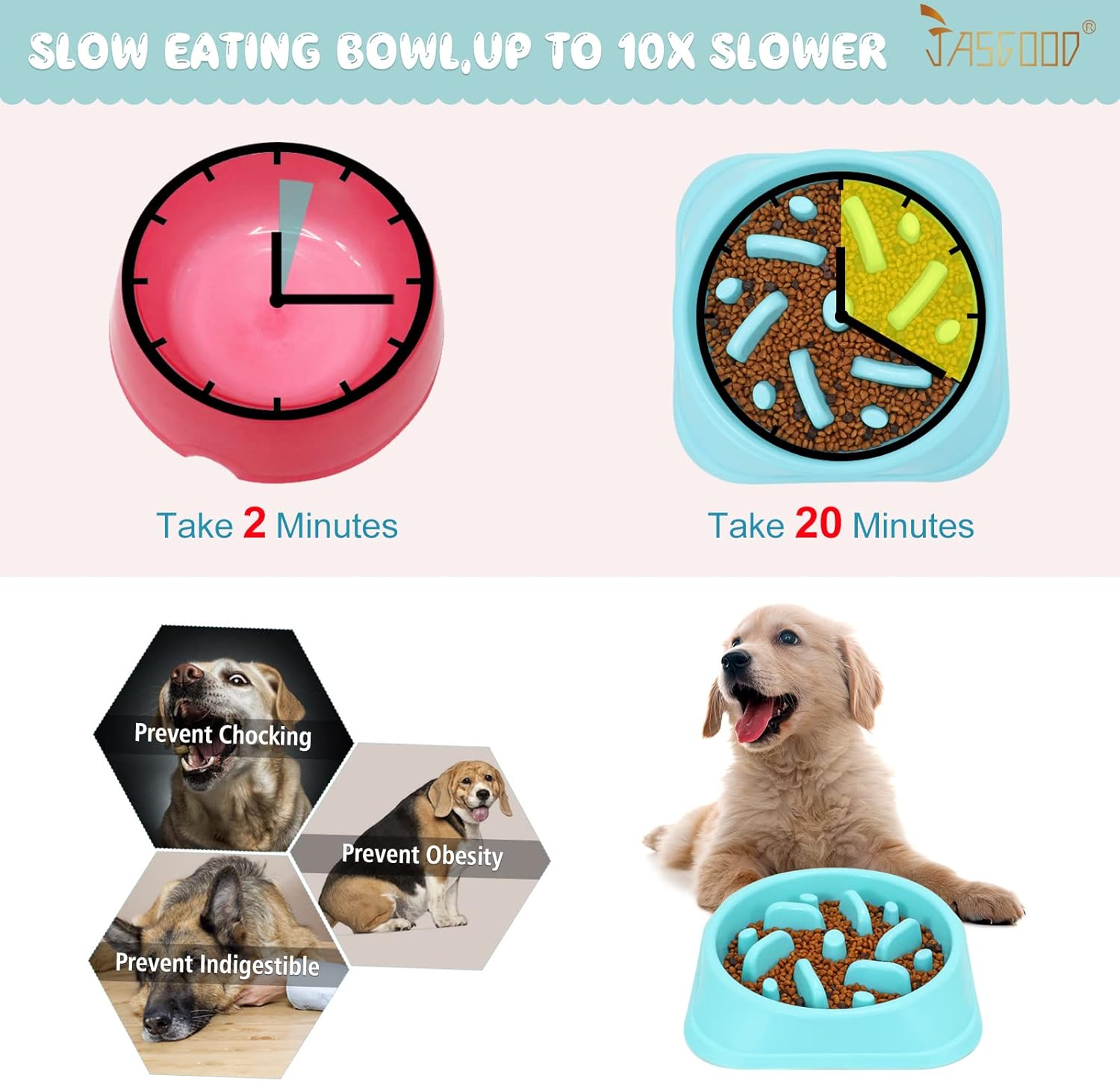 SlowPace Dog Feeder Bowl