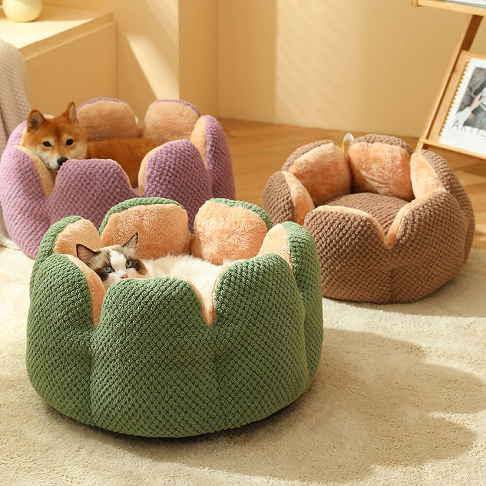 PricklyPaws™ Cactus Pet Haven