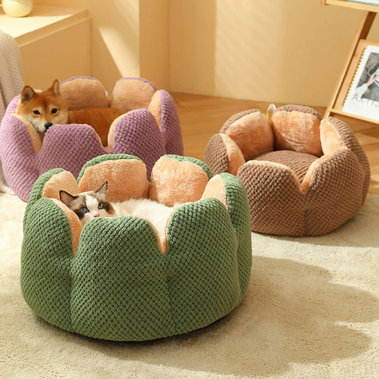 PricklyPaws™ Cactus Pet Haven