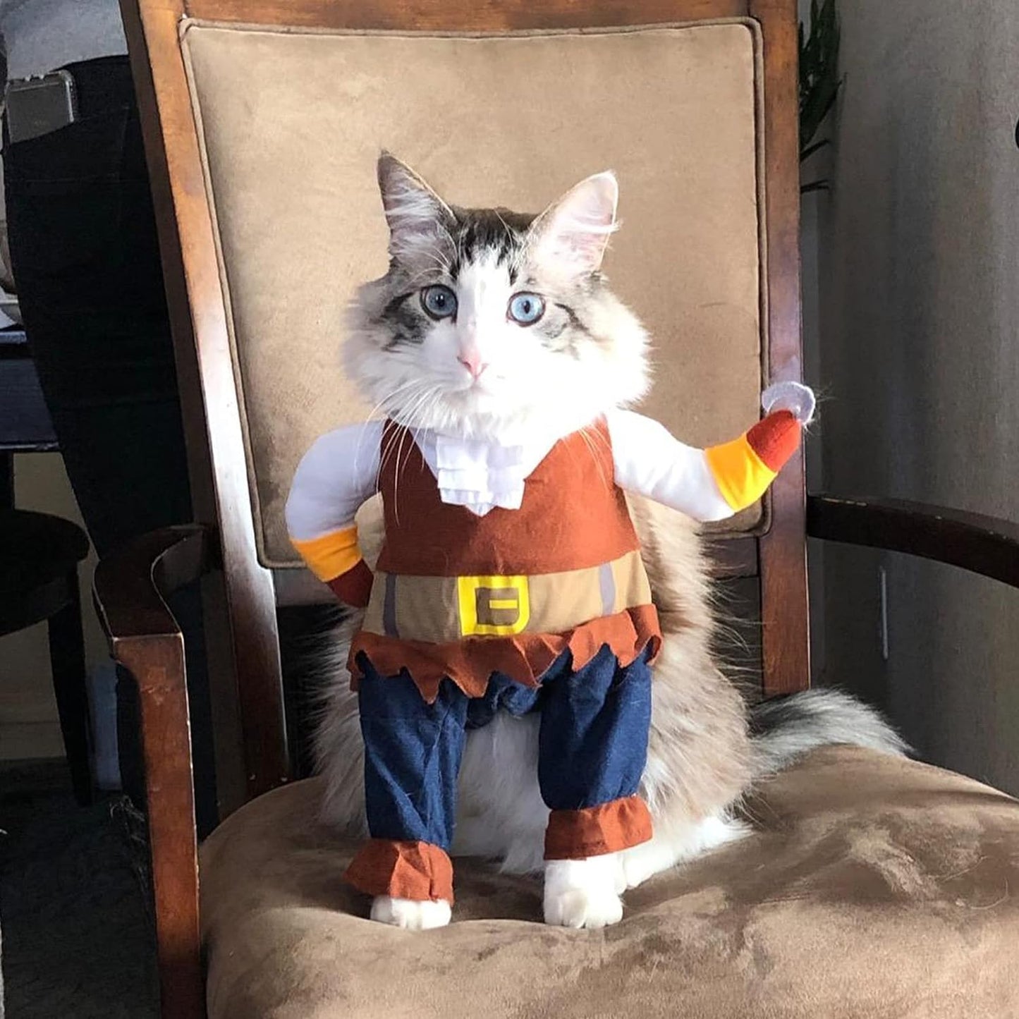 Pawrate™ Caribbean Cat Costume