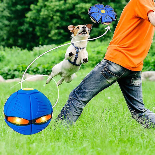 FlyFur - Pet Magical Saucer Ball