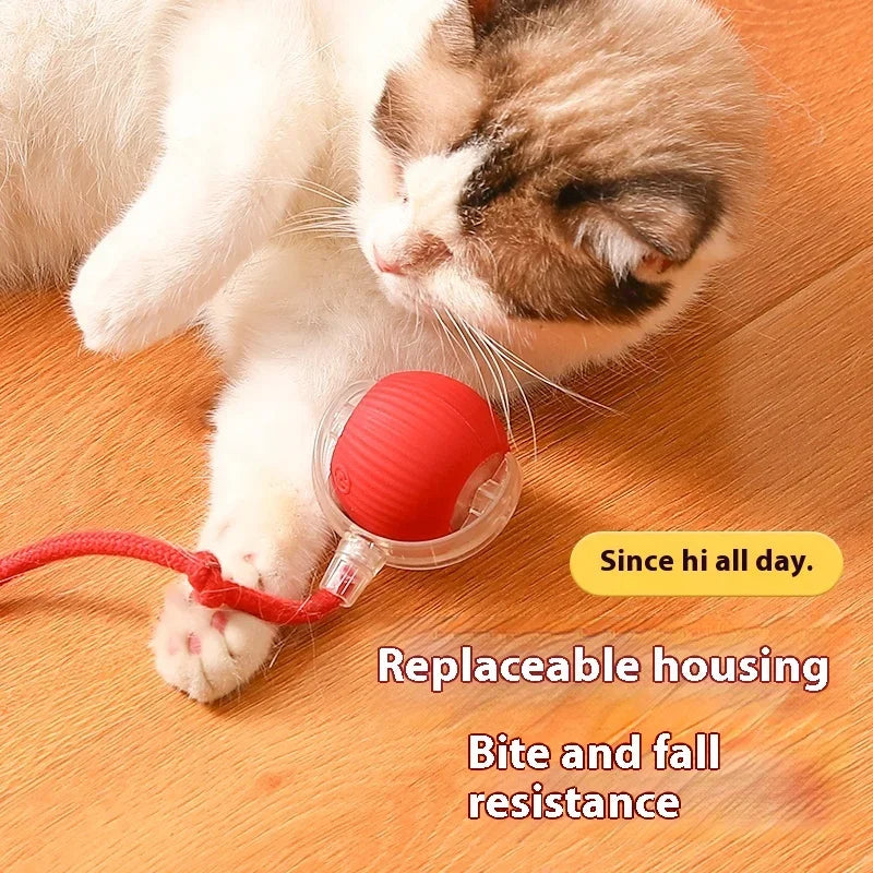 PawsPlay Auto Rolling Cat Ball