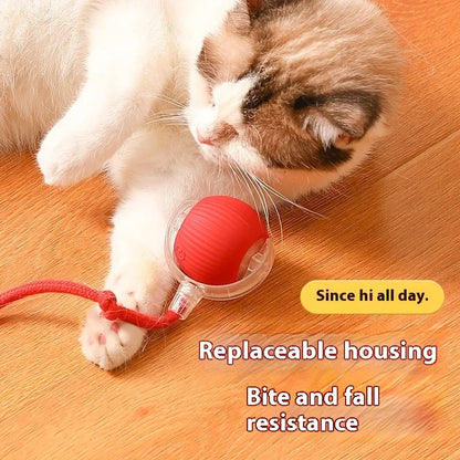 PawsPlay Auto Rolling Cat Ball