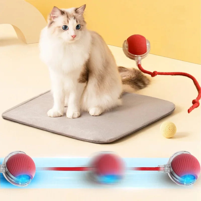 PawsPlay Auto Rolling Cat Ball