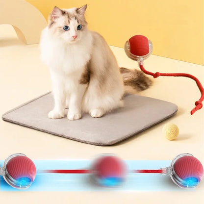 PawsPlay Auto Rolling Cat Ball