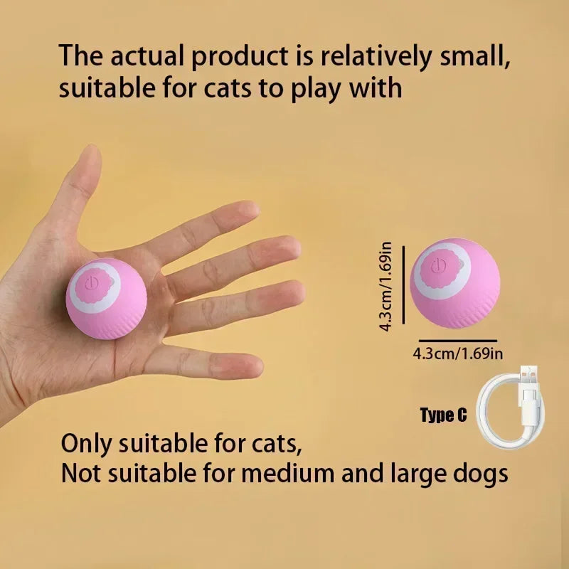 PawsPlay Auto Rolling Cat Ball
