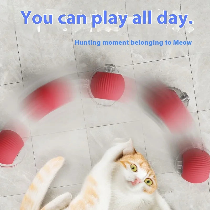 PawsPlay Auto Rolling Cat Ball