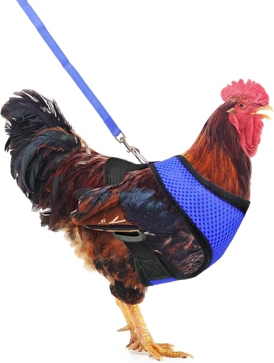 Adjustable Chicken Harness with Leash Elastic Comfortable Breathable Pet Harness for Duck Goose Hen Traning Walking,Medium