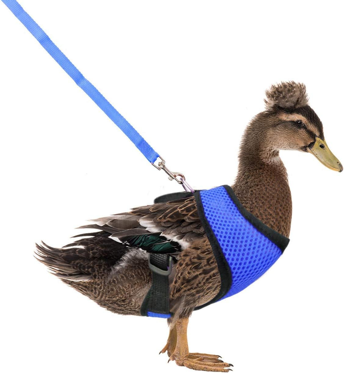 Adjustable Chicken Harness with Leash Elastic Comfortable Breathable Pet Harness for Duck Goose Hen Traning Walking,Medium