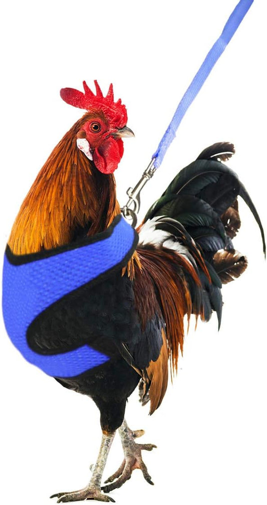 Adjustable Chicken Harness with Leash Elastic Comfortable Breathable Pet Harness for Duck Goose Hen Traning Walking,Medium