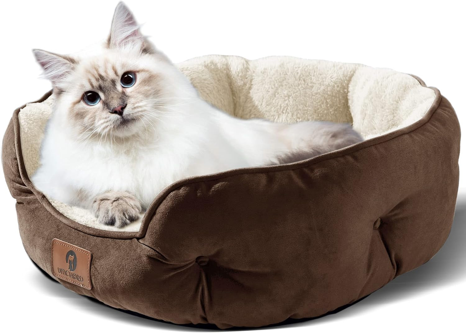 Pawrate™ Caribbean Cat Costume