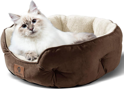 Pawrate™ Caribbean Cat Costume